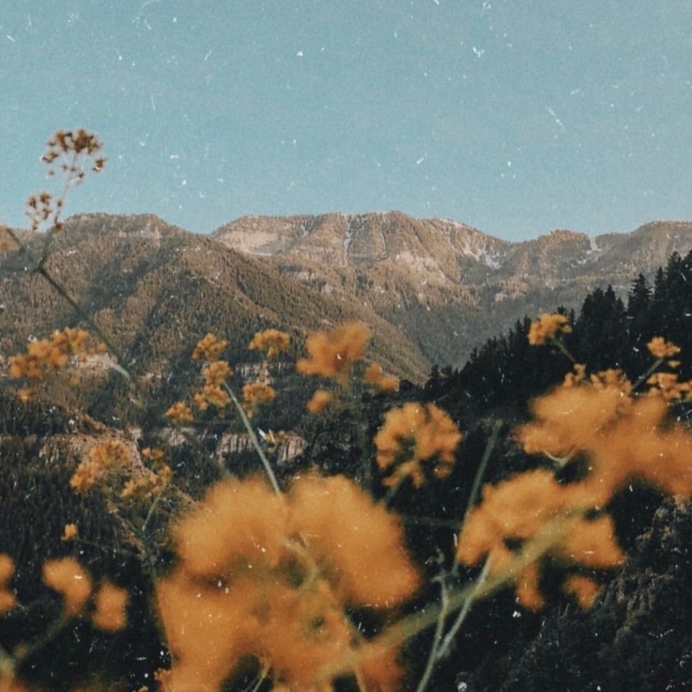 Meet your Posher, Lyla